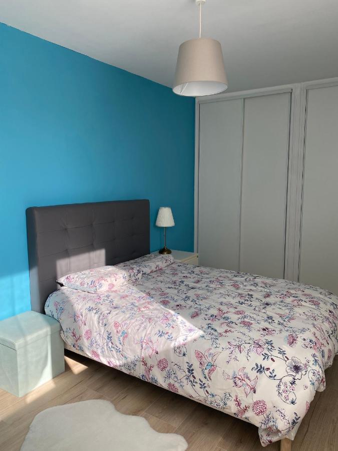 Le Cosy, Appartement Chaleureux 2 Chambres La Talaudiere Εξωτερικό φωτογραφία